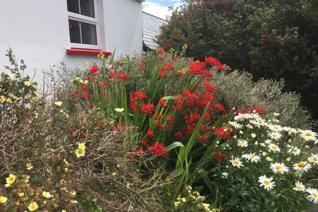 Red Stonecutters Cottage, Doolin Carrowauff 外观 照片